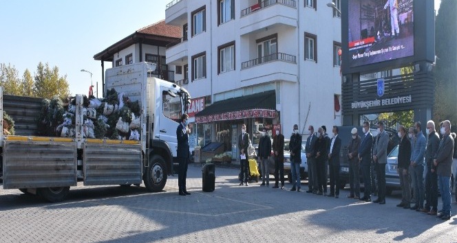 Nallıhanlı üreticilere lavanta fidesi dağıtımı devam ediyor