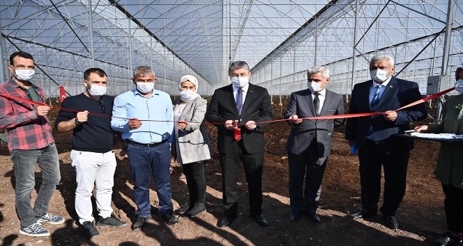 Osmaniye’de modern muz serası kuruldu