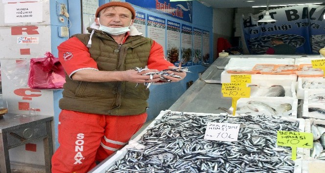 Fatsa’da yerli hamsi 10 TL