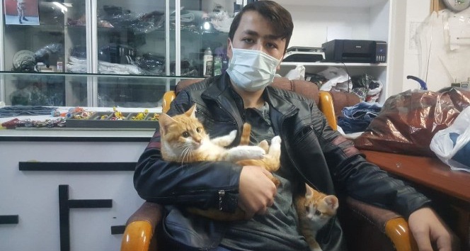 Yaralı kedinin tedavisi için dürümcüde çalıştı