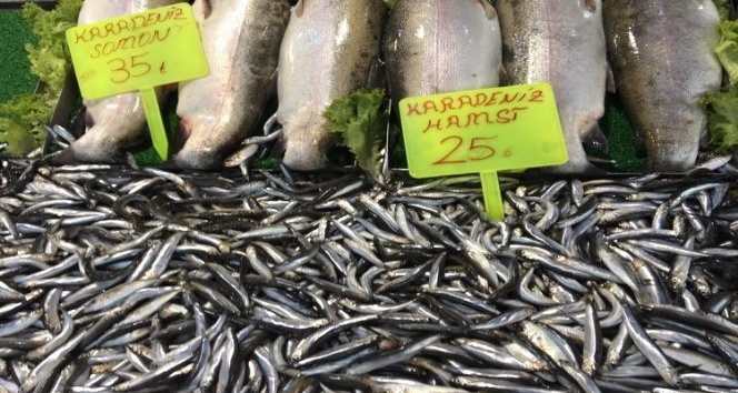 Tokat’ta hamsi fiyatları düşüşe geçti
