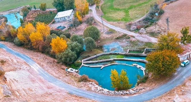 Mazıdağı’nda sonbahar renkleri görenleri hayran bıraktı