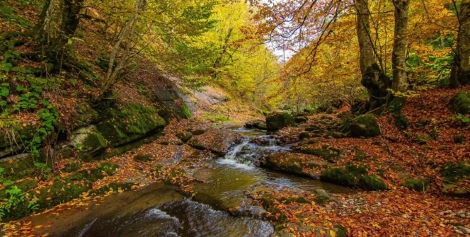 Yılançatı Kanyonu'na özel klip hazırlandı
