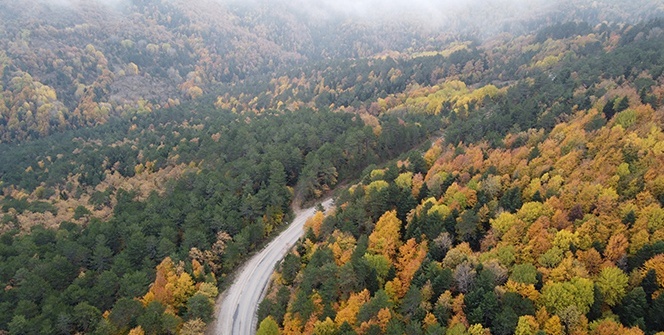 Ahmetusta Geçidi’nde rengarenk ağaçlar hayran bırakıyor