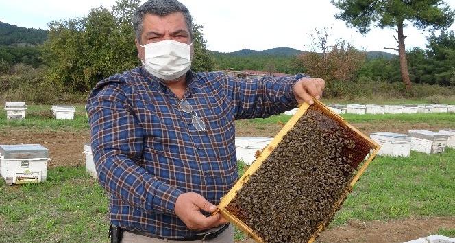 (Özel) Hobi amaçlı başladığı arıcılıkla korona virüse savaş açtı