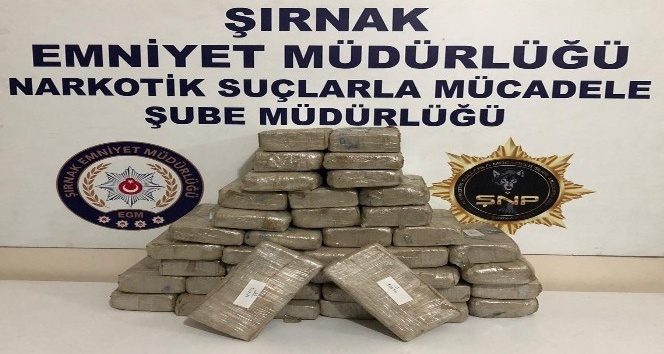 Şırnak’ta kaçakçılık operasyonu: 47 gözaltı