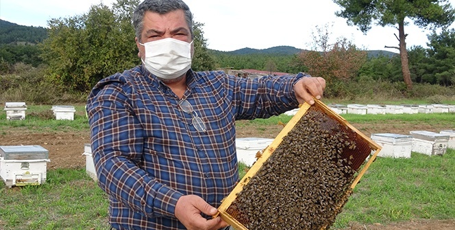 Hobi amaçlı başladığı arıcılıkla korona virüse savaş açtı