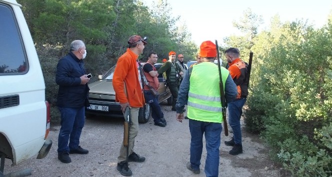 Tatil sitesini basan domuz sürüsü böyle görüntülendi