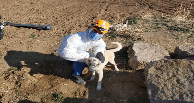 Su kuyusunda mahsur kalan köpek kurtarıldı
