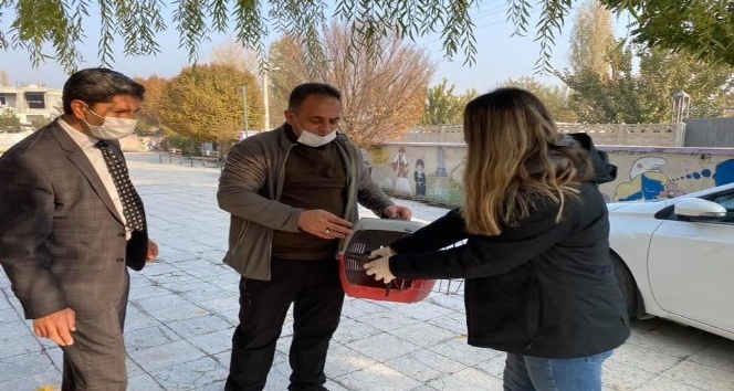 Okul müdüründen örnek davranış