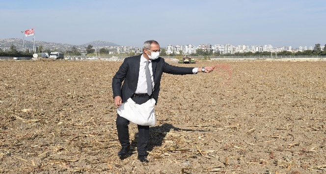 Başkan Bozdoğan, ata tohumu kunduru buğdayını toprakla buluşturdu