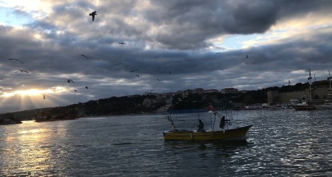 Balıkçı teknelerinin davetsiz misafiri martılar