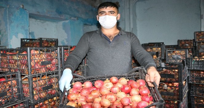 Korona virüs süresince Zivzik narına talep arttı