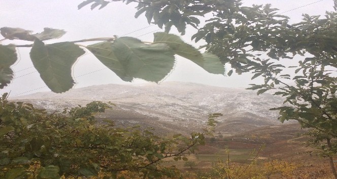 Malatya’da mevsimin ilk Kar’ı yağdı