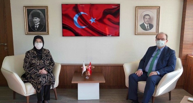 Helenopolis Antik Kenti gün yüzüne çıkarılacak