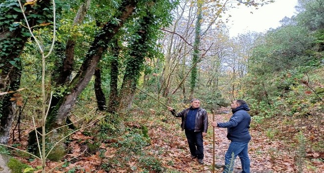 Başkan Erdoğan, trekking yolunu inceledi