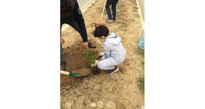 Gercüş’te Ağaçlar Kitaplarla Büyüyor Projesi başladı