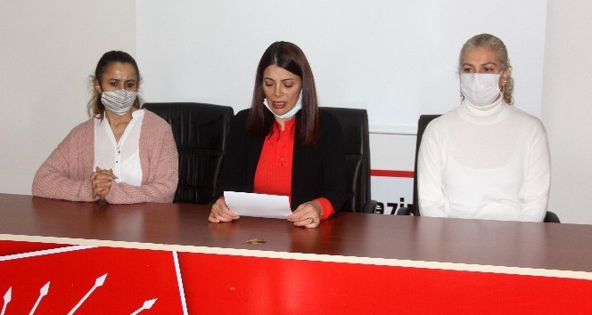 CHP Erzincan Kadın Kolları’ndan Kadına Yönelik Şiddete Karşı Uluslararası Mücadele ve Dayanışma Günü açıklaması