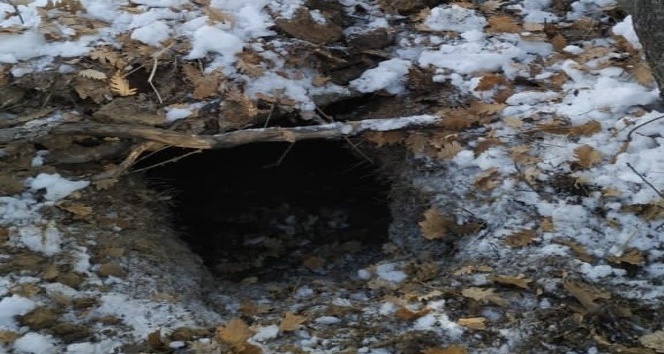 Tunceli’de 14 sığınak imha edildi