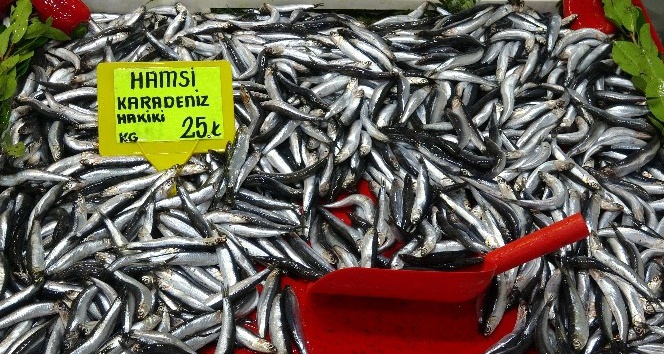 Tezgahlarda hamsi bolluğu