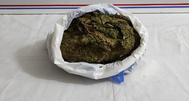 Elazığ’da 1 kilo 600 gram esrarla yakalanan şüpheli tutuklandı