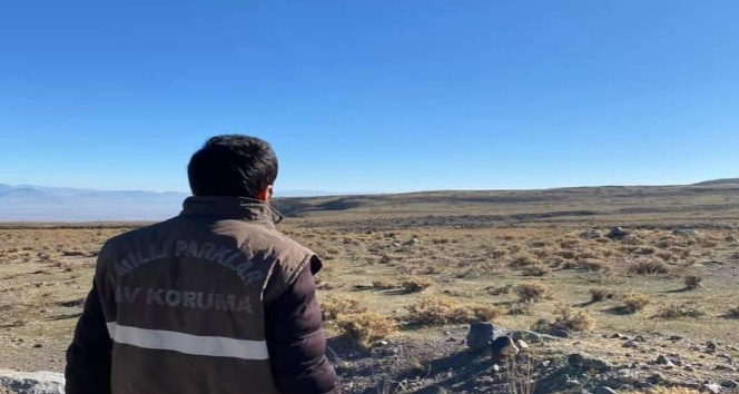 Av koruma ve kontrol faaliyetleri devam ediyor