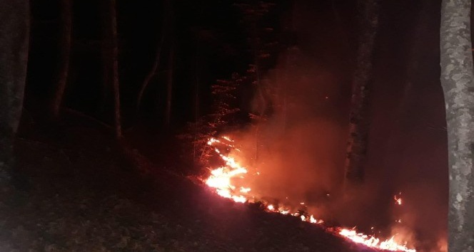 Karabük’te ormanlık alanda yangın