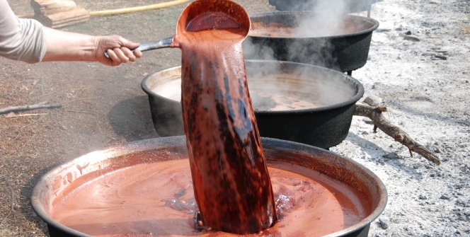 Toroslardan toplanıyor sadece pekmez olarak tüketiliyor
