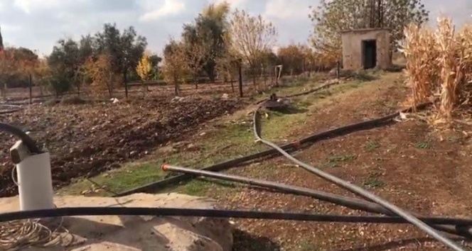 Mardin’de çiftçinin kaçak elektrik kullanımı pes dedirtti
