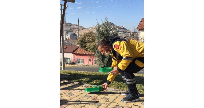 Sokağa çıkma yasağında sokak hayvanları unutulmadı