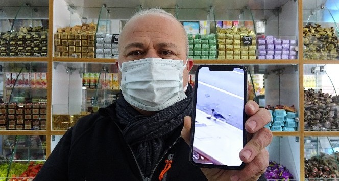 Cips çalan karga böyle yakalandı