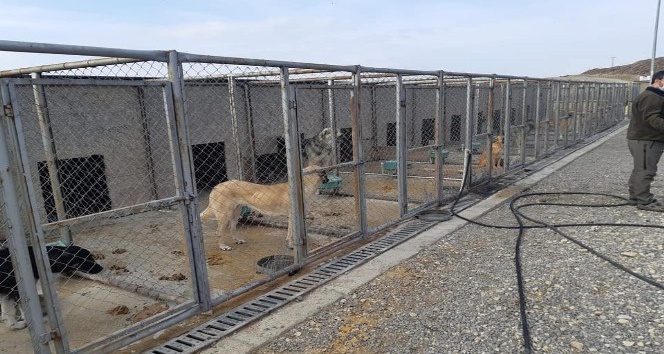 Geçici Hayvan Bakim evinde denetim