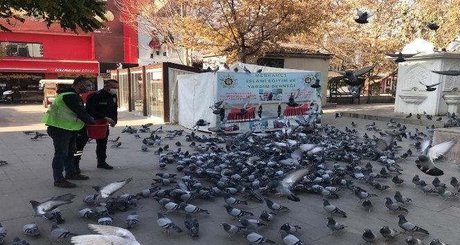 Kırıkkale’de sokak hayvanlarına şefkat eli