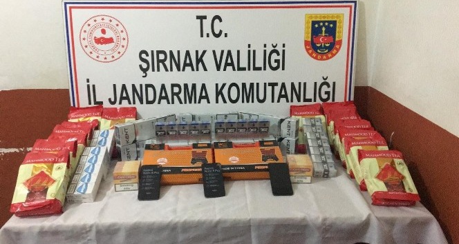 Şırnak’ta kaçakçılık operasyonu: 43 gözaltı