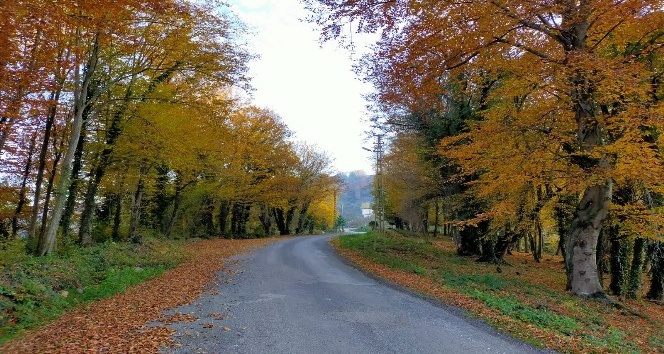 Ordu’da kartpostallık kareler