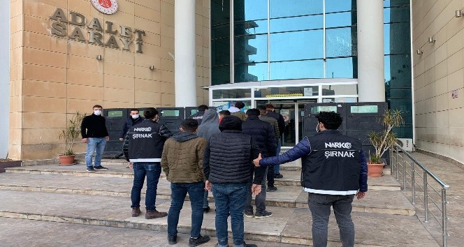 Cizre’de uyuşturucu operasyonunda 7 tutuklama