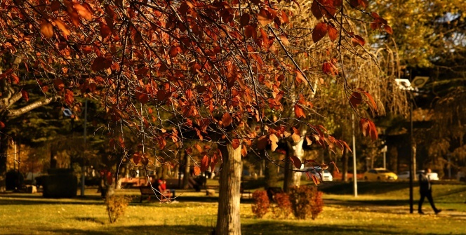 Elazığ’da sonbaharın son demleri görsel şölen oluşturuyor