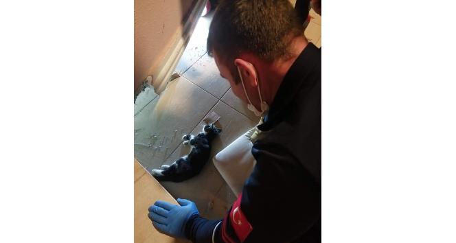 Duvar arasına sıkışan kedi kurtarıldı