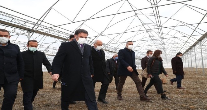 Erbaa, çiçek üretim merkezi olacak