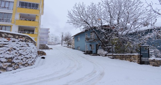 Tunceli’de kar yağışı etkili oldu, 132 köy yolu kapandı