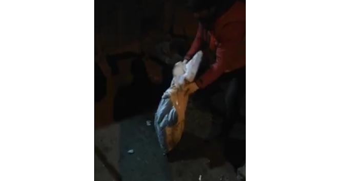 Iğdır’da çuval içinde çöpe atılan kedi son anda fark edildi