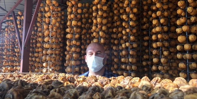 Eşinin çamaşır kuruttuğu ipte hurma kuruttu hayatı değişti