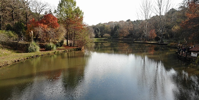 Atatürk Arboretumu’nda sonbahar manzarası