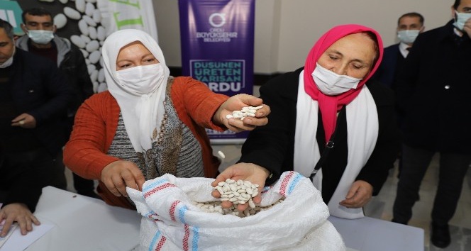 Ordu’da Büyükşehir üreticinin yüzünü güldürdü