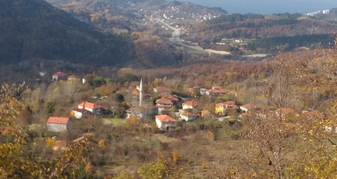 Hiç vaka görülmeyen köye telefon yağıyor