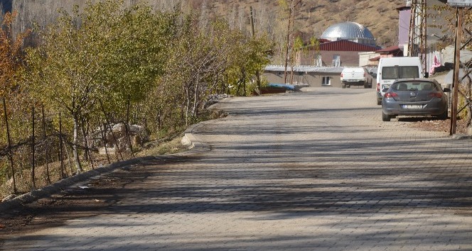 Beytüşşebap’ta vatandaşlar kısıtlamaya uyarak evlerine kapandı