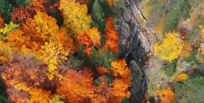 Sonbaharda mest eden görüntüler