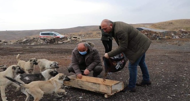Yahşihan’da sokak hayvanları unutulmadı