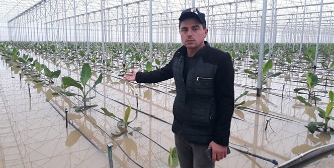 Antalya’da kuvvetli yağış sonrası seraları su bastı