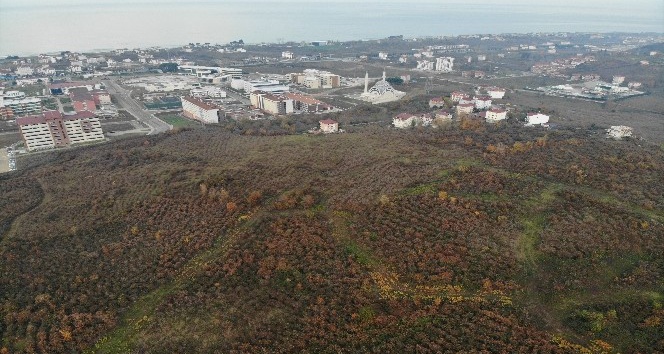 Ordu’ya yapılacak bin yataklı şehir hastanesinin yeri havadan görüntülendi